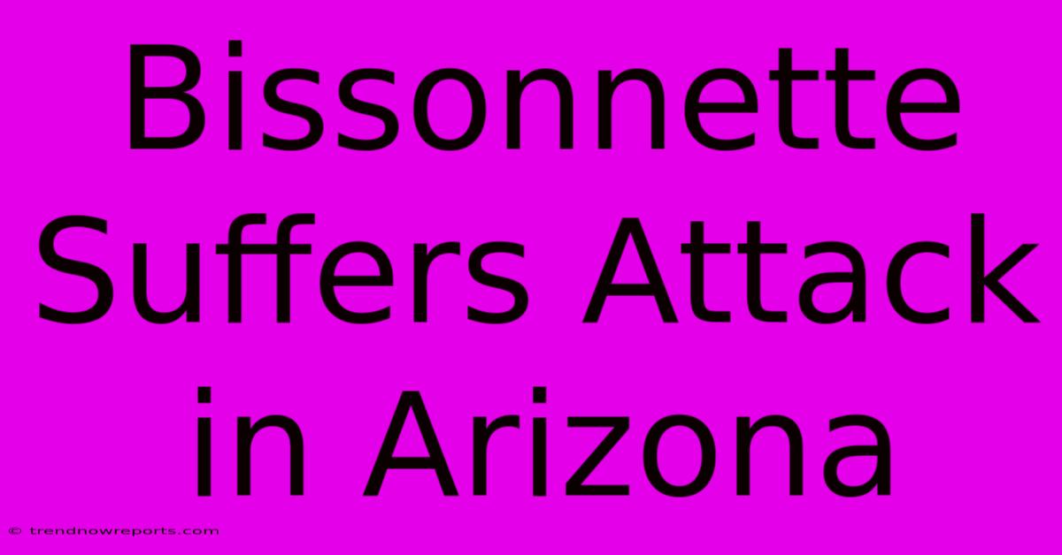 Bissonnette Suffers Attack In Arizona