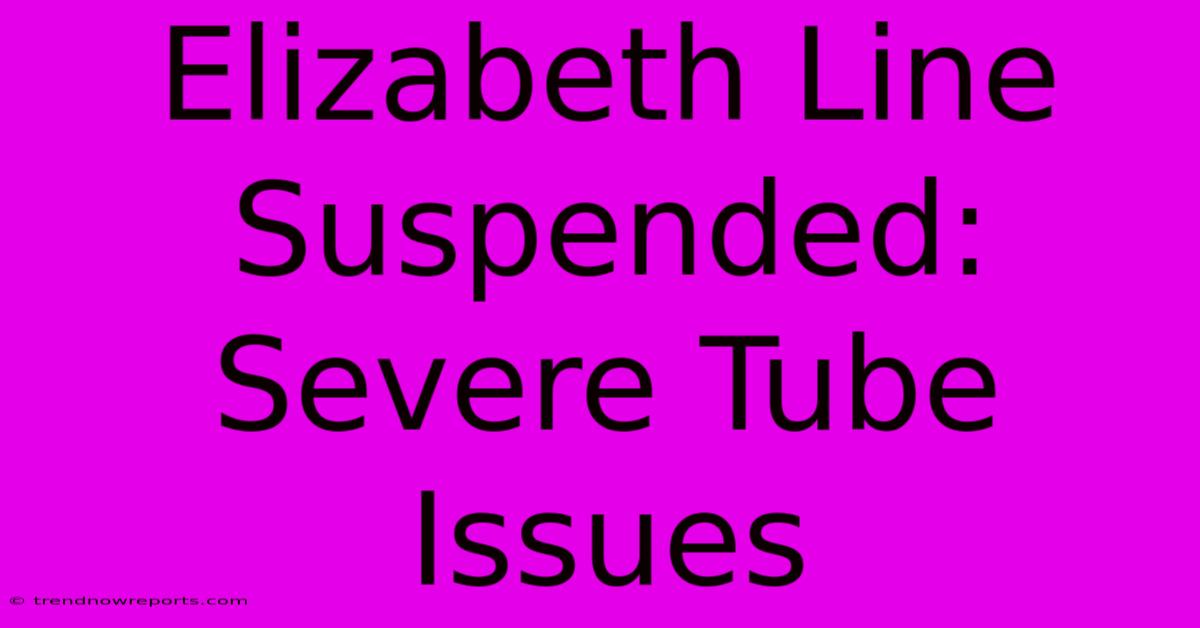 Elizabeth Line Suspended: Severe Tube Issues