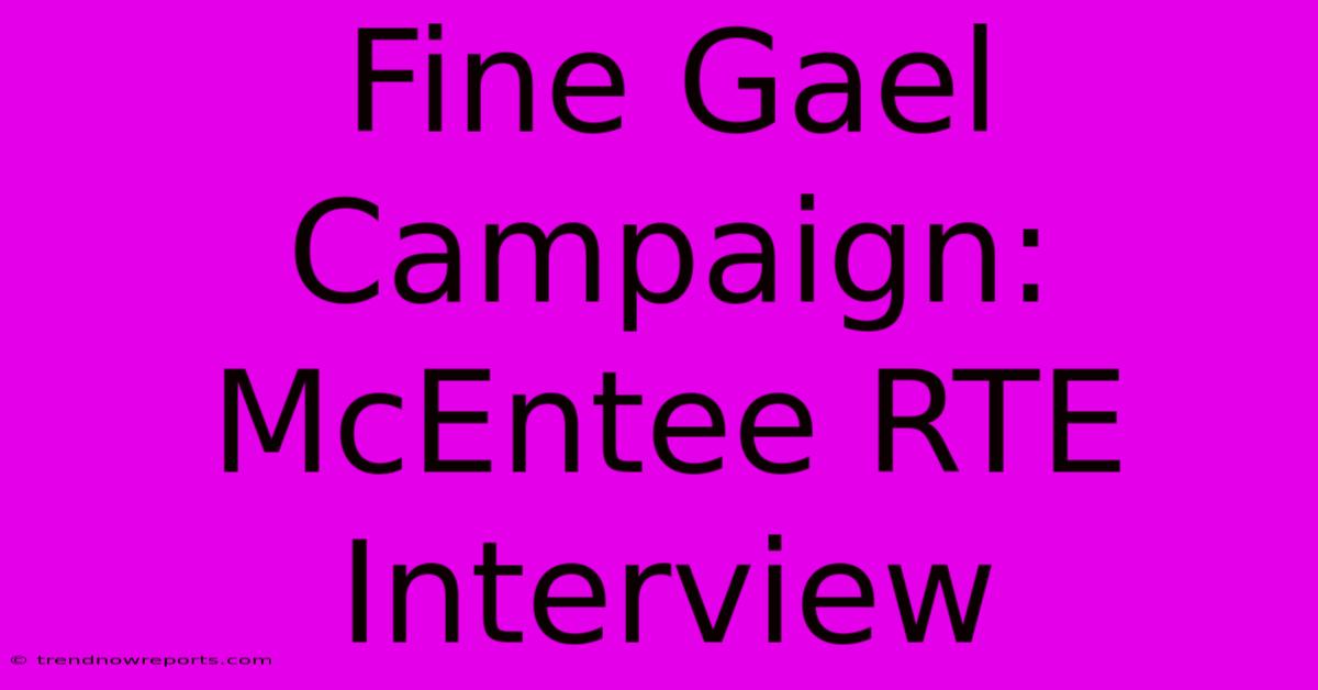 Fine Gael Campaign: McEntee RTE Interview