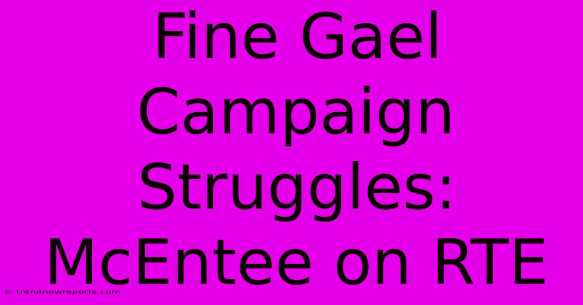 Fine Gael Campaign Struggles: McEntee On RTE