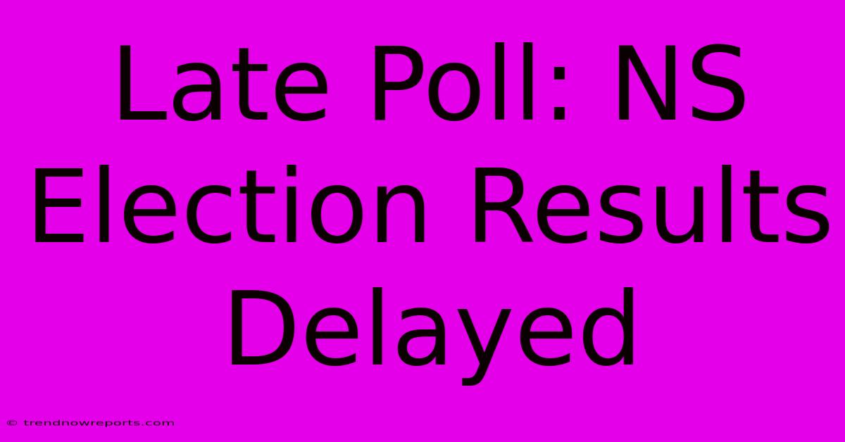 Late Poll: NS Election Results Delayed