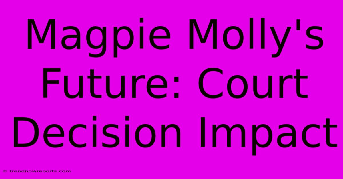 Magpie Molly's Future: Court Decision Impact