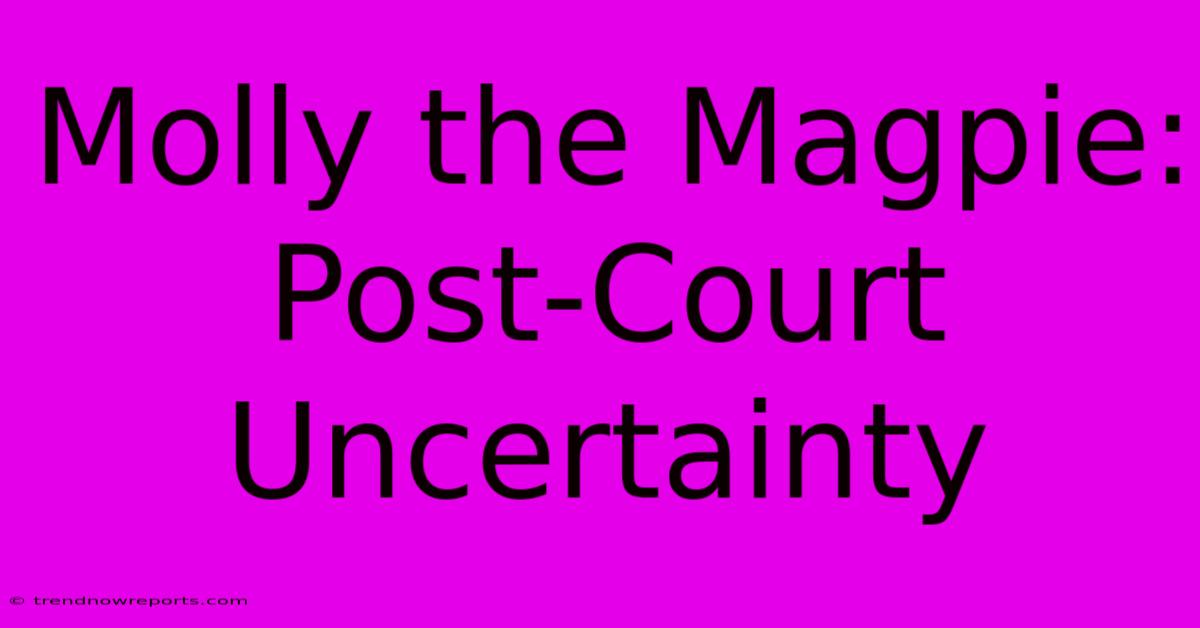 Molly The Magpie: Post-Court Uncertainty