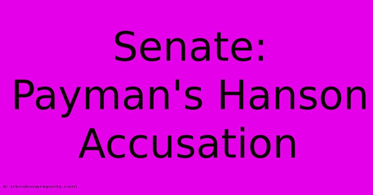 Senate: Payman's Hanson Accusation