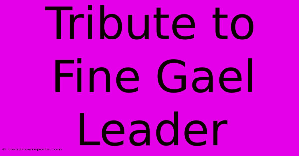 Tribute To Fine Gael Leader