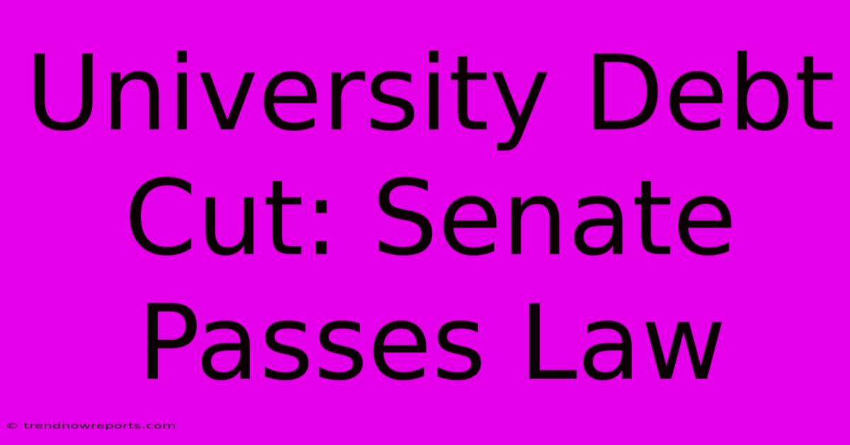 University Debt Cut: Senate Passes Law